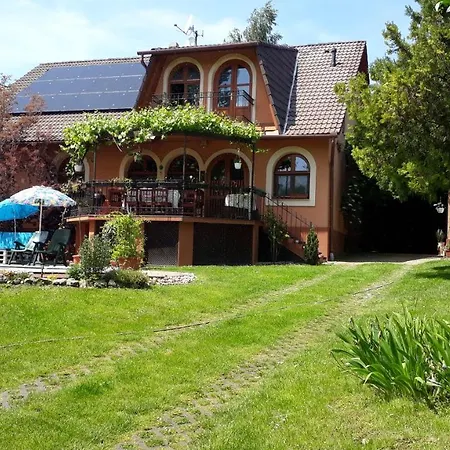 Katica Vendeghaz - Ladybird