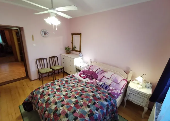 Katica Vendeghaz - Ladybird *