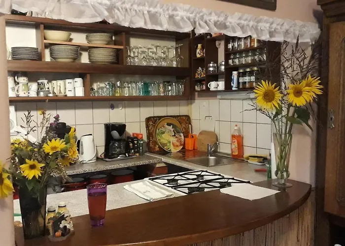 Katica Vendeghaz - Ladybird * Somogyvar