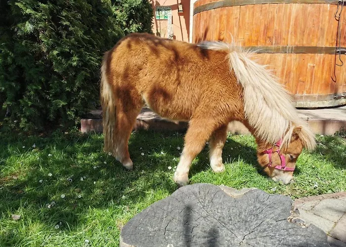 Katica Vendeghaz - Ladybird Дом отдыха