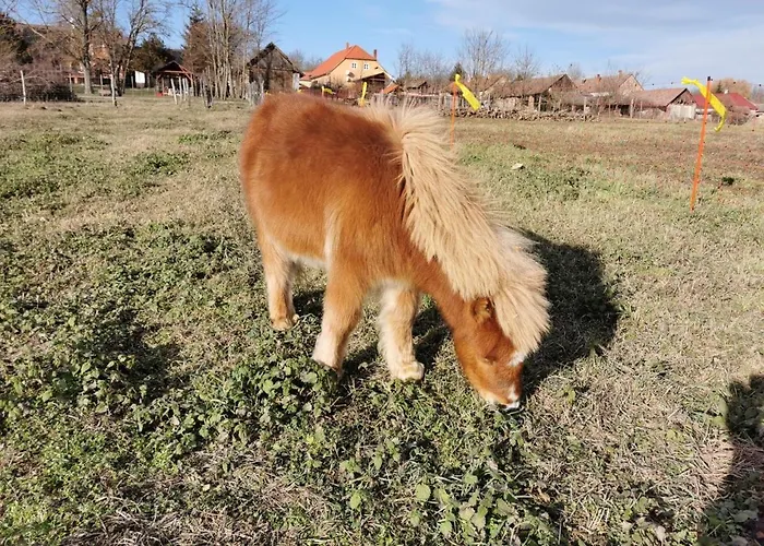 Дом отдыха Katica Vendeghaz - Ladybird *