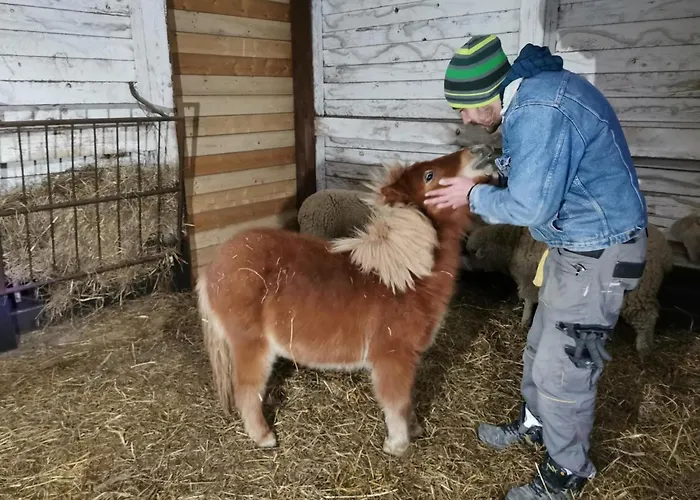 Дом отдыха Katica Vendeghaz - Ladybird Somogyvar