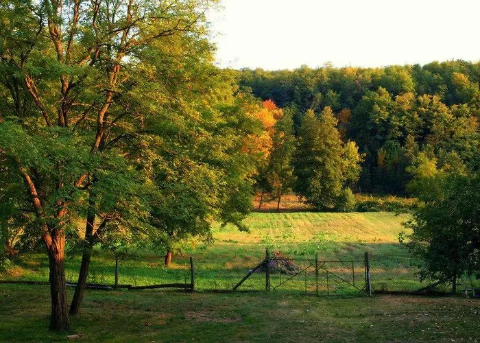 Дом отдыха Katica Vendeghaz - Ladybird Somogyvar