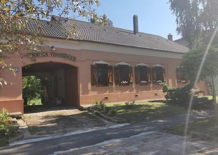 Katica Vendeghaz - Ladybird